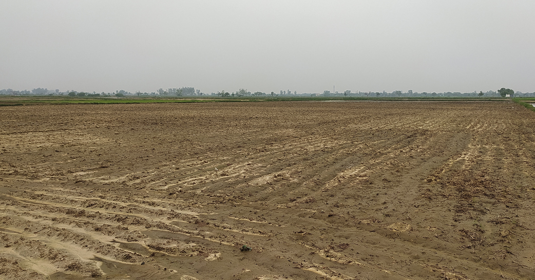 Agricultural Land for Sale in Pataudi, Gurugram, Haryana